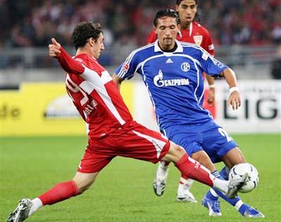 这一真理 这一真理